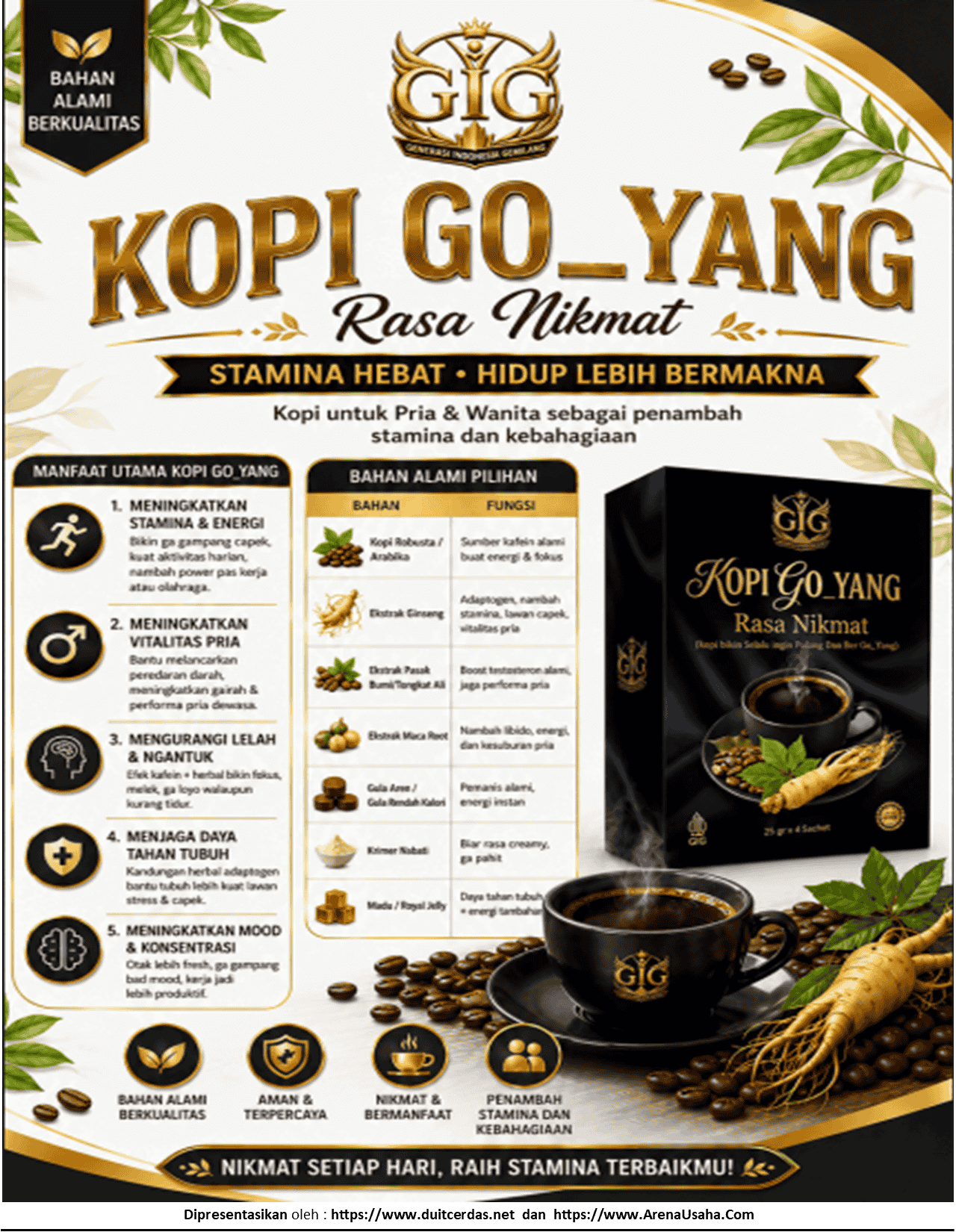 kopigo